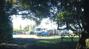 Greytown Campground, Greytown